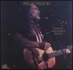 Willie Nelson - What a Wonderful World 